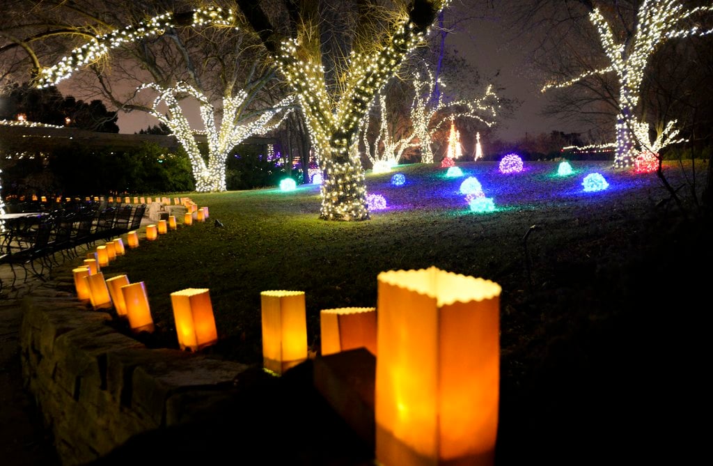 Paper lanterns and lit trees in a garden at night