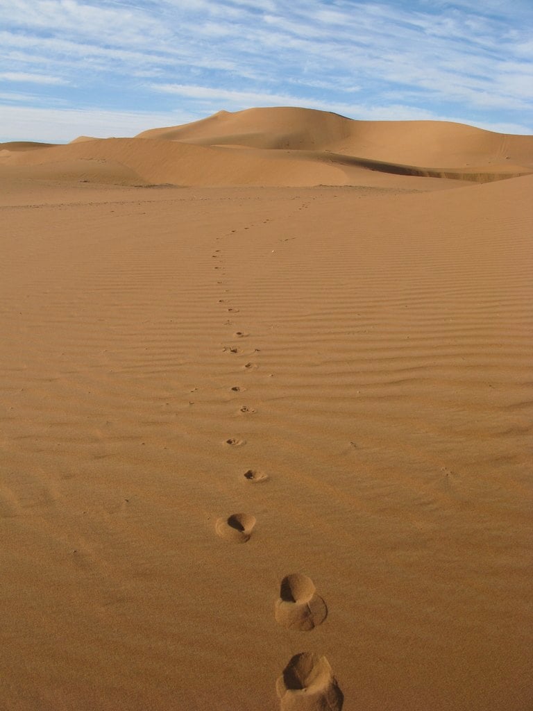 A single line of footprints crossing a dune
