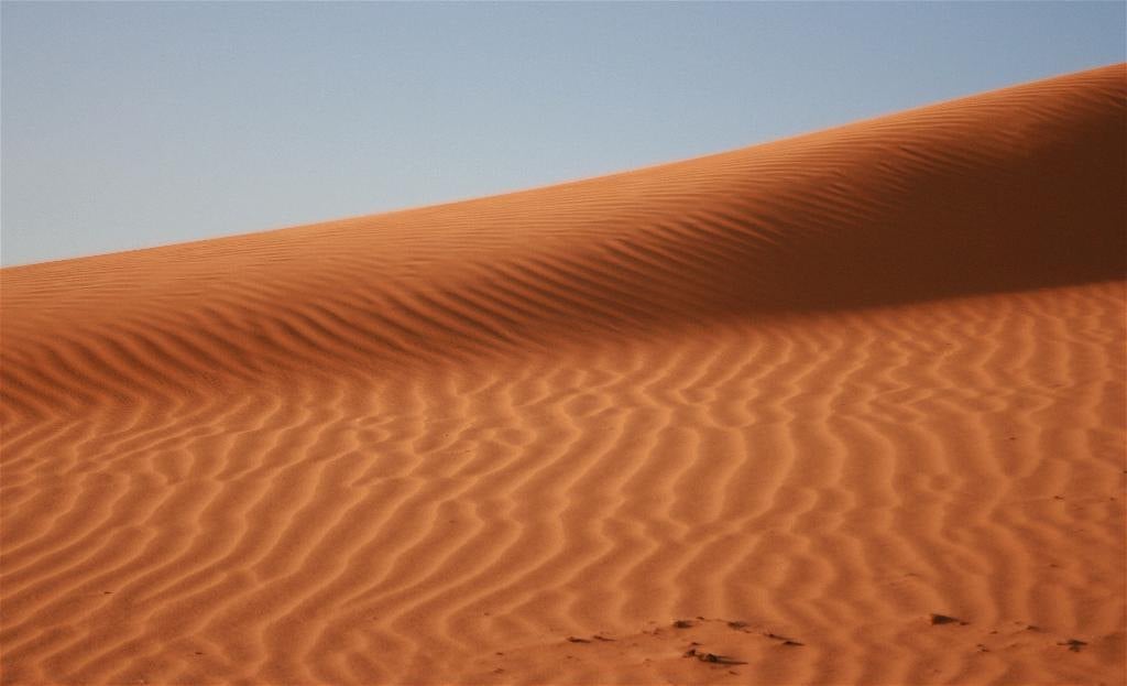 Rippled red sand along the crest of a dune