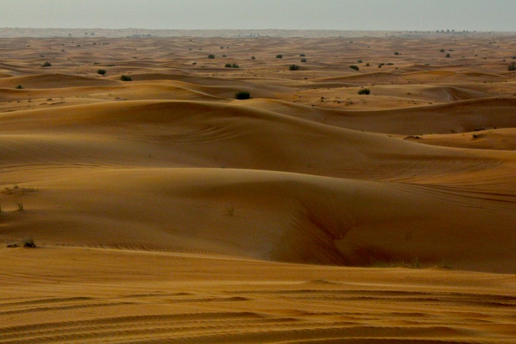 Rolling golden dunes reaching the horizon