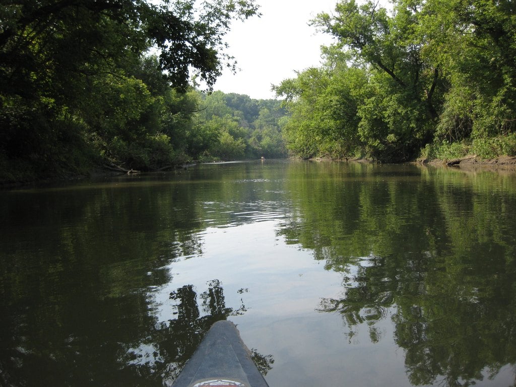A calm river reflecting overhanging trees