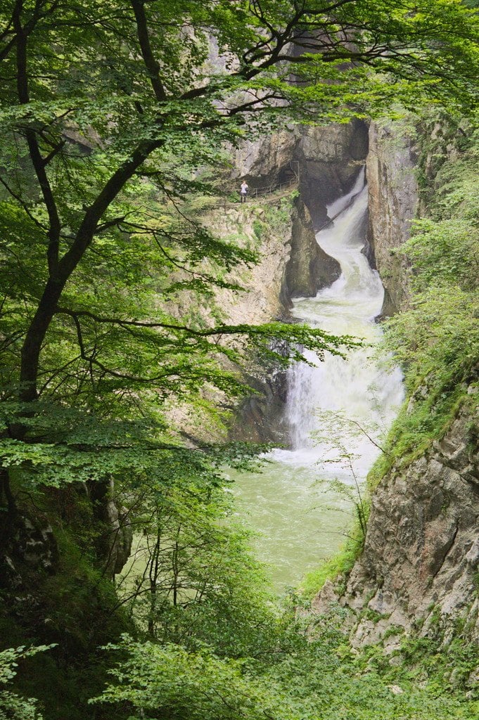 A narrow gorge with a waterfall under green leaves