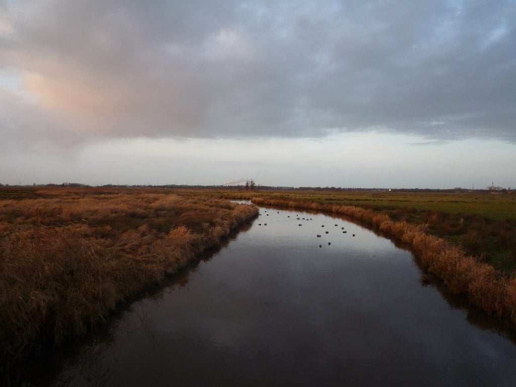 A straight channel through brown marsh at dusk
